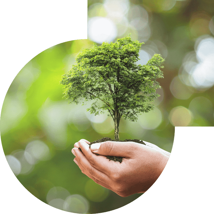 关怀人类、、文化、、、、环境与社会