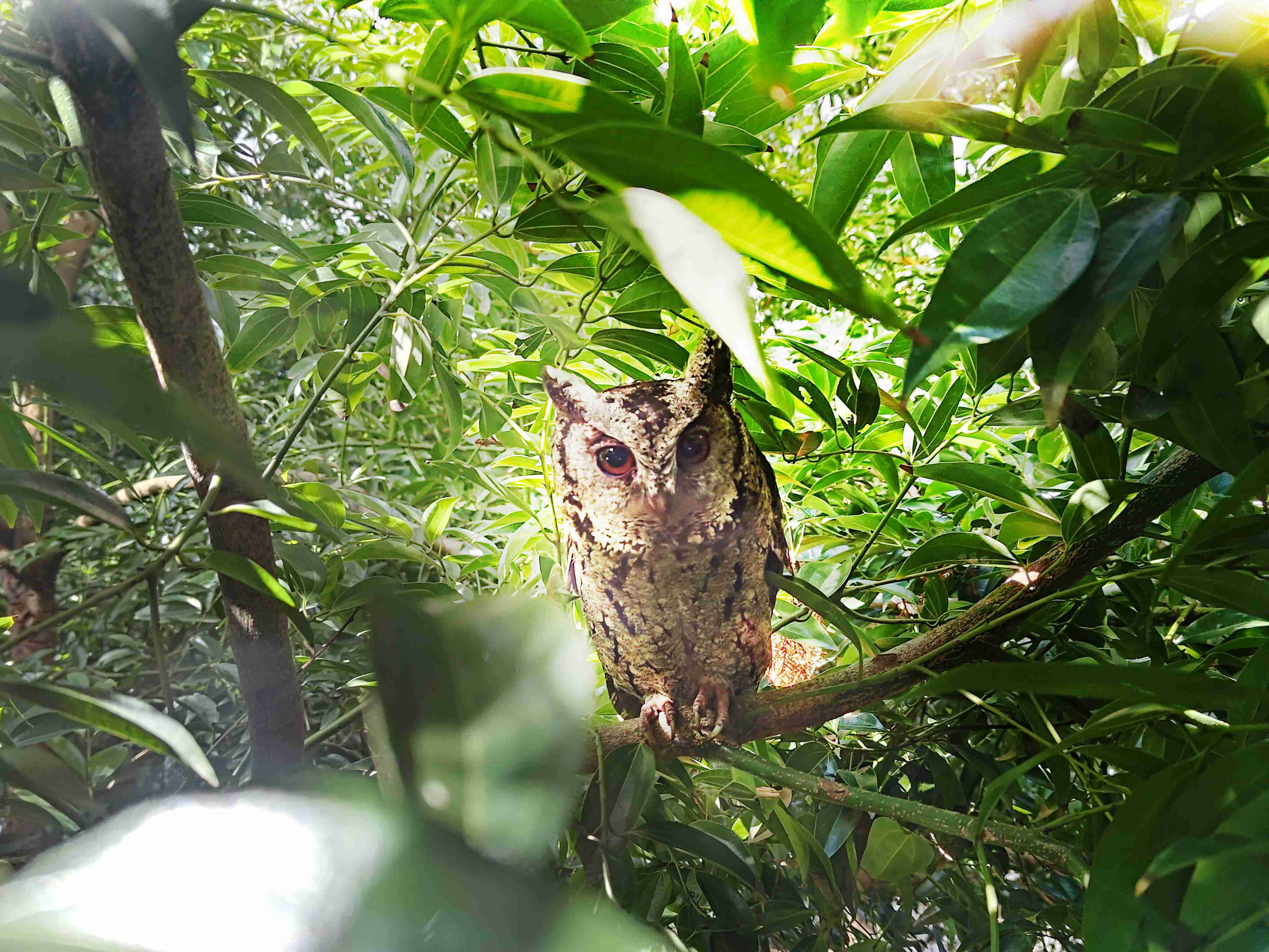 杏悦2致力提倡净零绿生活，，，，16年以来在全球各厂区植树逾百万棵，，，，造就各厂区树木蔚然成林，，，犹如森林工厂，，成为许多生物的栖息地